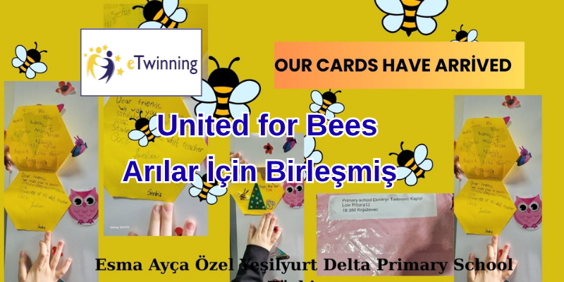 Adsiz tasarim 3 5 - Delta Koleji